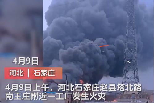 王庄最新爆料新闻视频播放,视频揭秘惊人内幕,真相令人震惊!