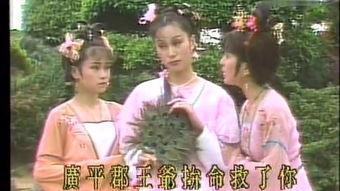 珍珠传奇在线观看,探寻海洋瑰宝的传奇故事  第2张 珍珠传奇在线观看,探寻海洋瑰宝的传奇故事  第2张