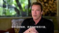 阿诺最新爆料视频,揭秘幕后的惊人真相!  第2张 阿诺最新爆料视频,揭秘幕后的惊人真相!  第2张