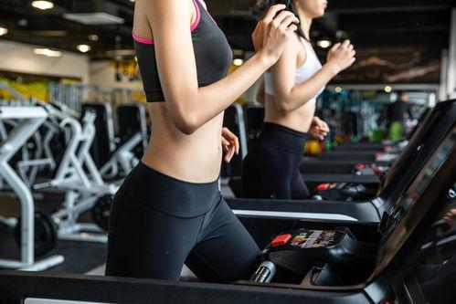 健身最新爆料文案短句,爆款短句背后的健身秘籍  第3张 健身最新爆料文案短句,爆款短句背后的健身秘籍  第3张