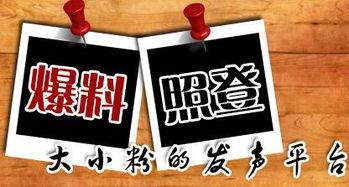 到哪里新闻爆料,追踪真相,守护公正